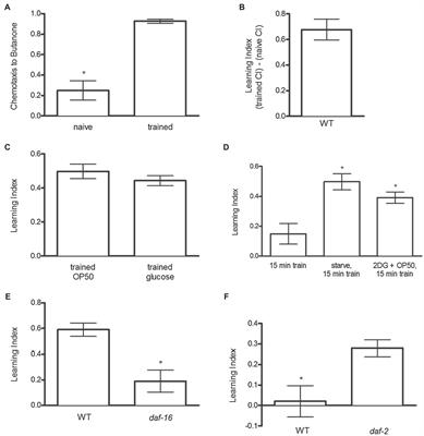 Serotonin and Dopamine Mimic Glucose-Induced Reinforcement in C. elegans: Potential Role of NSM Neurons and the Serotonin Subtype 4 Receptor